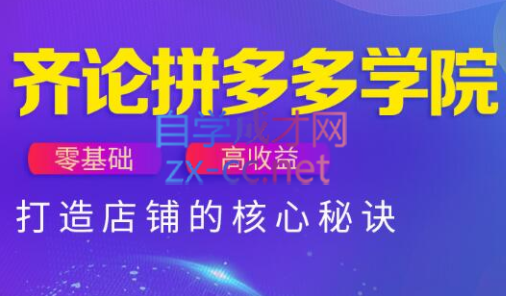 齐论拼多多vip课程-小知云程阁