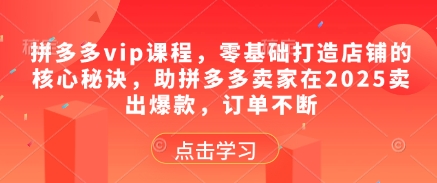 拼多多vip课程，零基础打造店铺的核心秘诀，助拼多多卖家在2025卖出爆款，订单不断-小知云程阁