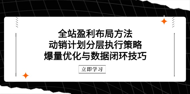 全站盈利布局方法：动销计划分层执行策略，爆量优化与数据闭环技巧-小知云程阁
