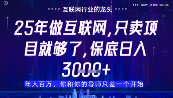 什么！25年你还在找项目做？风口早就变了，卖项目才是稳挣不赔【揭秘】-小知云程阁
