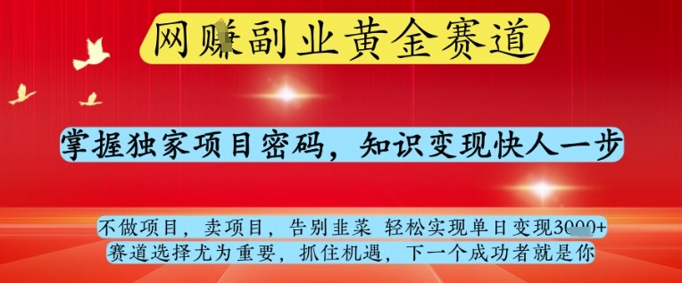 网创副业黄全赛道，掌握独家项目密码，知识变现快人一步，告别韭菜轻松实现单日变现1k+【揭秘】-小知云程阁