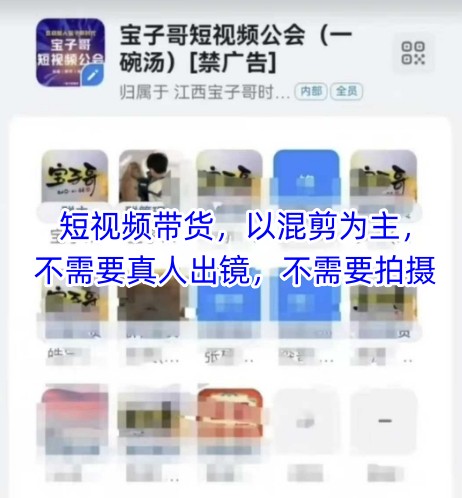 宝子哥头部团队短视频带货，以混剪为主，不需要真人出镜，不需要拍摄-小知云程阁