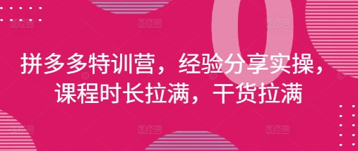 拼多多特训营，经验分享实操，课程时长拉满，干货拉满(更新25年4月)-小知云程阁