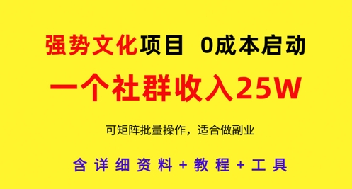 强势文化项目，一个社群收入25个W，0成本启动，可矩阵批量操作，原创详细实操教程-小知云程阁