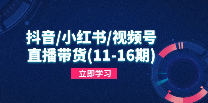 抖音/小红书/视频号/直播带货(11-16期-小知云程阁