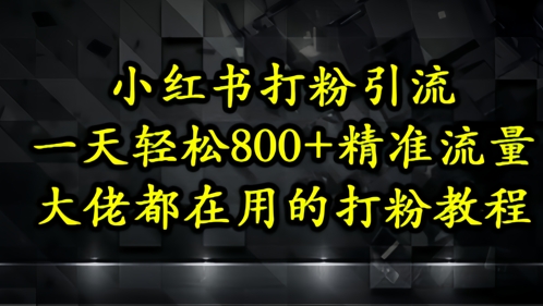 小红书打粉引流，一天轻松500+精准流量，大佬都在用的打粉教程-小知云程阁
