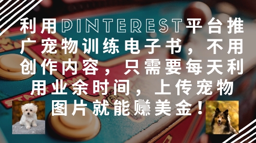 利用Pinterest平台推广宠物训练电子书，不用创作内容，只需要每天利用业余时间，上传宠物图片就能挣美金!-小知云程阁