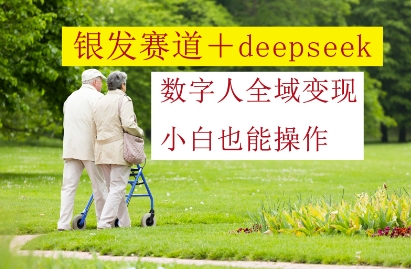 银发赛道+deepseek数字人全域变现，小白也能操作-小知云程阁