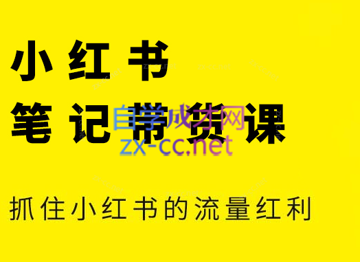 张宾·小红书笔记带货课(更新4月)-小知云程阁