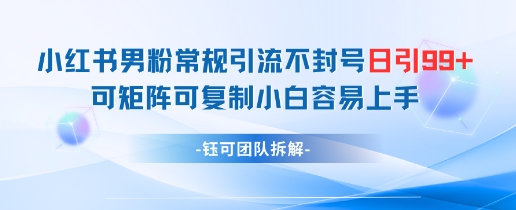 小红书男粉常规引流不封号日引99+变现简单 可矩阵可复制小白容易上手-小知云程阁